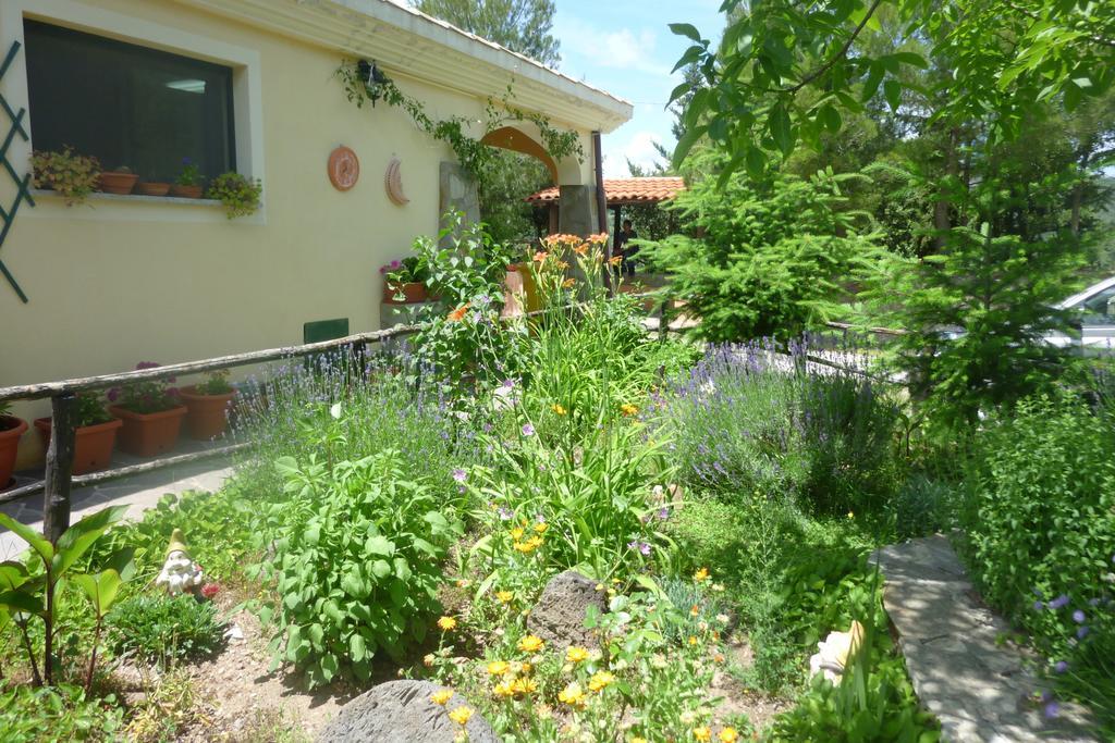 Agriturismo Ticci Seùlo Exterior foto